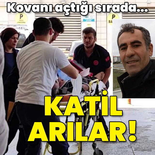 Kovanı açtığı sırada saldırıya uğradı! Katil arılar!