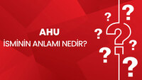 Ahu isminin anlamı nedir?