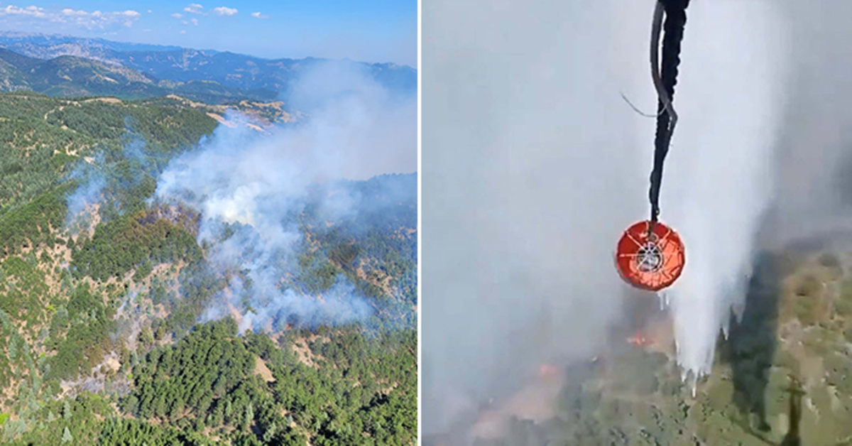 Wildfires in Adana, Izmir, and Tokat: Aerial and Ground Intervention