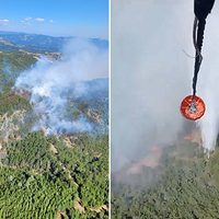 Üç ilde orman yangını