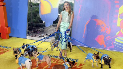 Kırmızı halıda 10 köpek