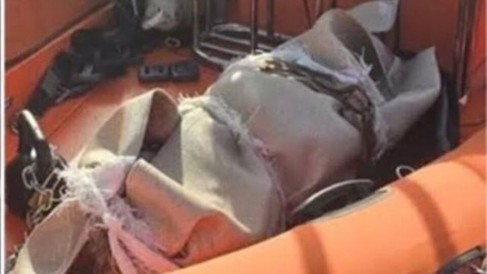 Ölüme böyle gitti