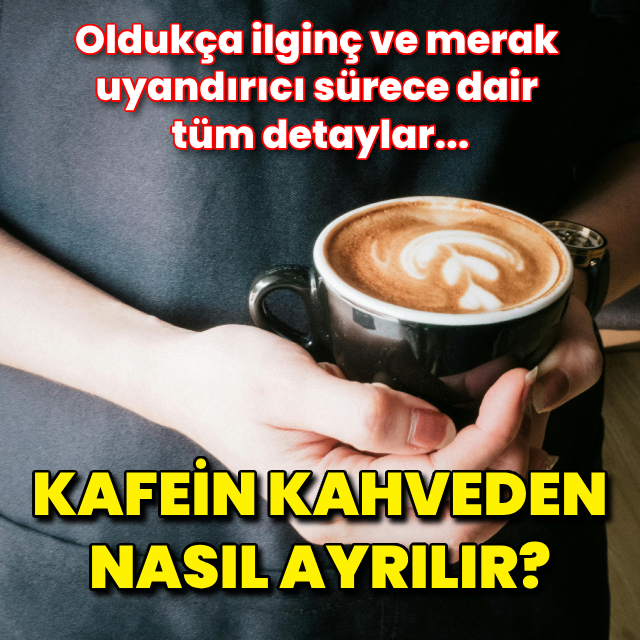 Kafein kahveden nasıl ayrılır?