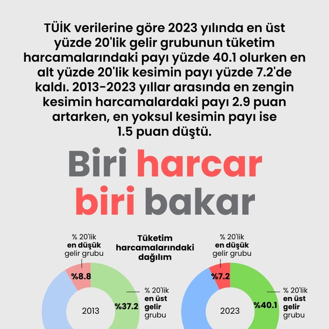 Biri harcar biri bakar