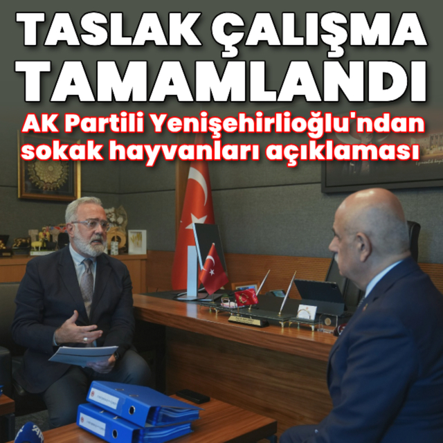 Sokak hayvanları taslak çalışması tamamlandı