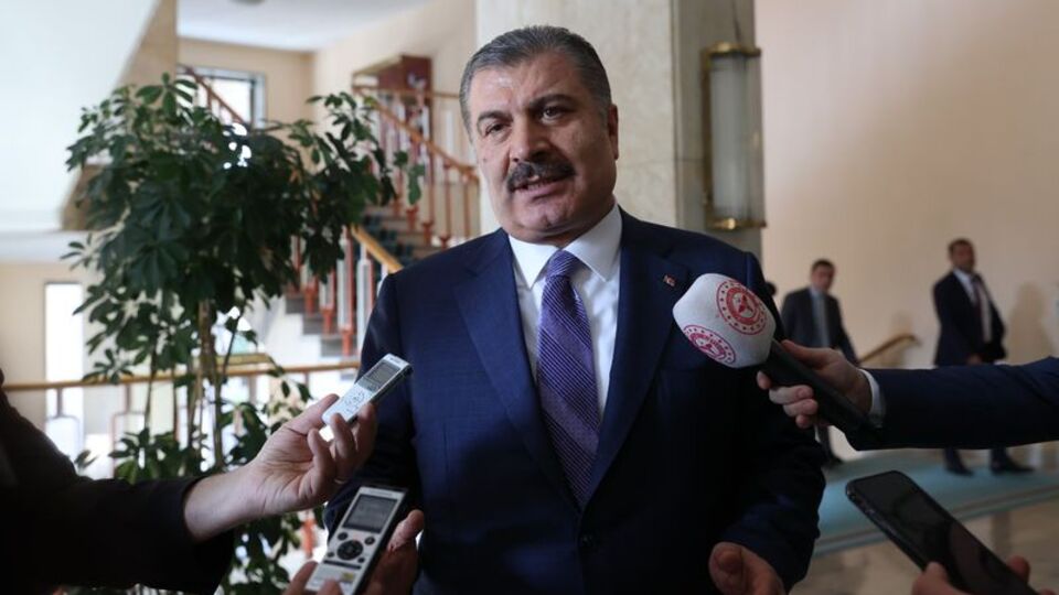 Koca'dan sokak köpekleri paylaşımı