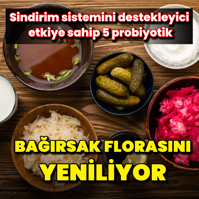 Bağırsak sağlığına iyi gelen 5 probiyotik!