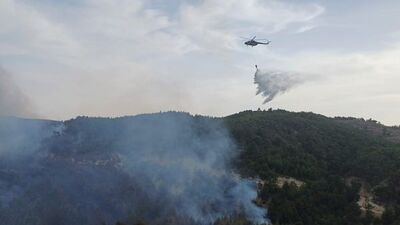 Balıkesir'deki orman yangınları söndürüldü