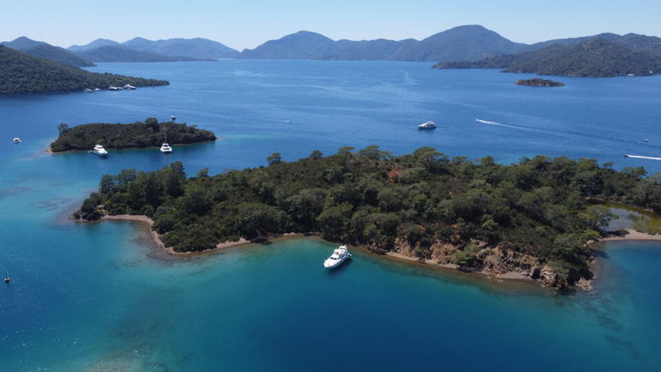 Muhtar hazine arazisini sattı