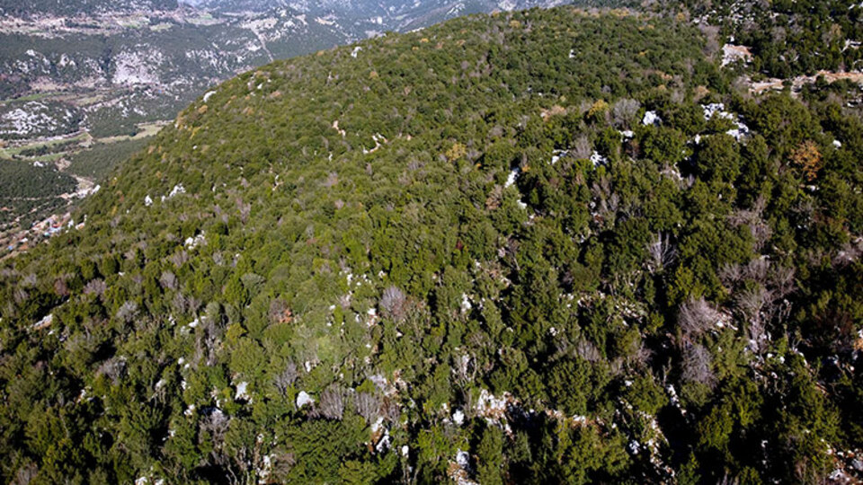 Bir ilde daha ormanlara giriş yasağı