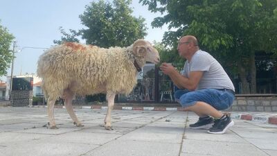 Bayramın en şanslı koçu