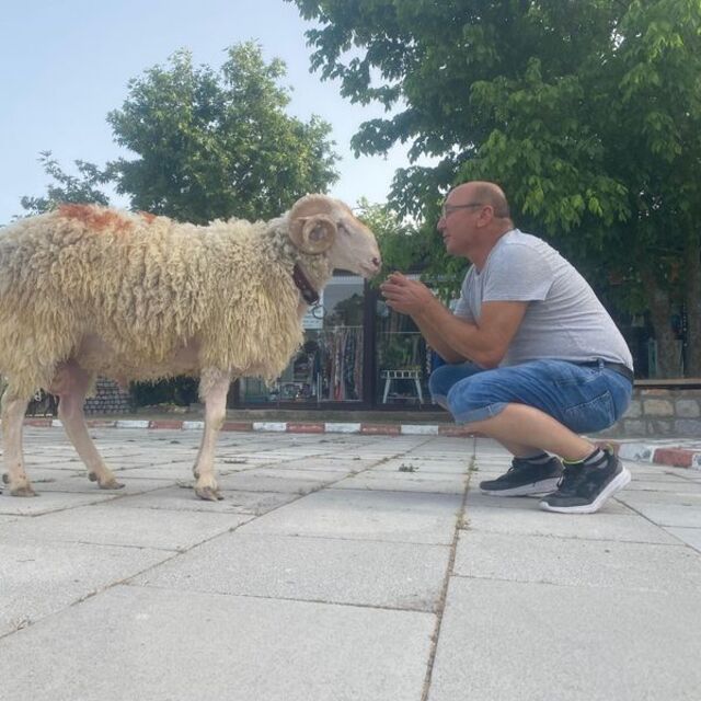Bayramın en şanslı koçu