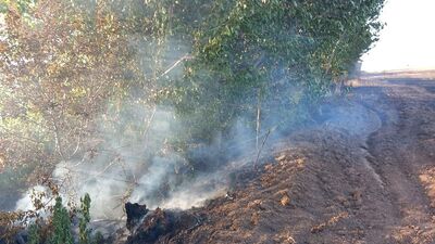 Edirne'de 105 dönüm buğday ekili alan yandı