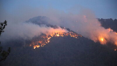 Denizli'de orman yangınları: 7'si söndürüldü, 1'i sürüyor