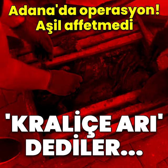 "Kraliçe arı var" dediler uyuşturucu çıktı