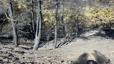 2024'te 1551 yangın çıktı