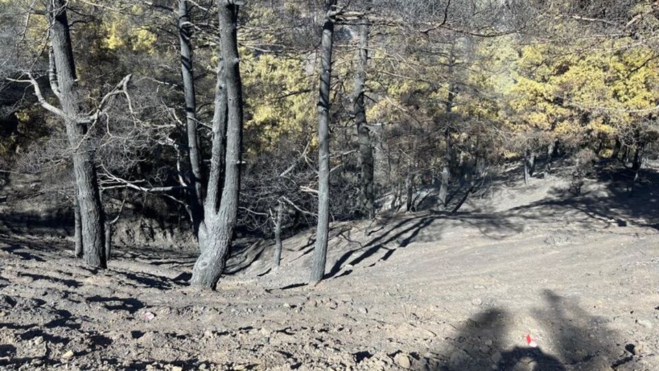 2024'te 1551 yangın çıktı