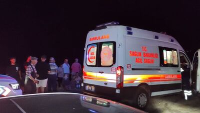 İzmir'de zeytinlik alanda yangın çıktı