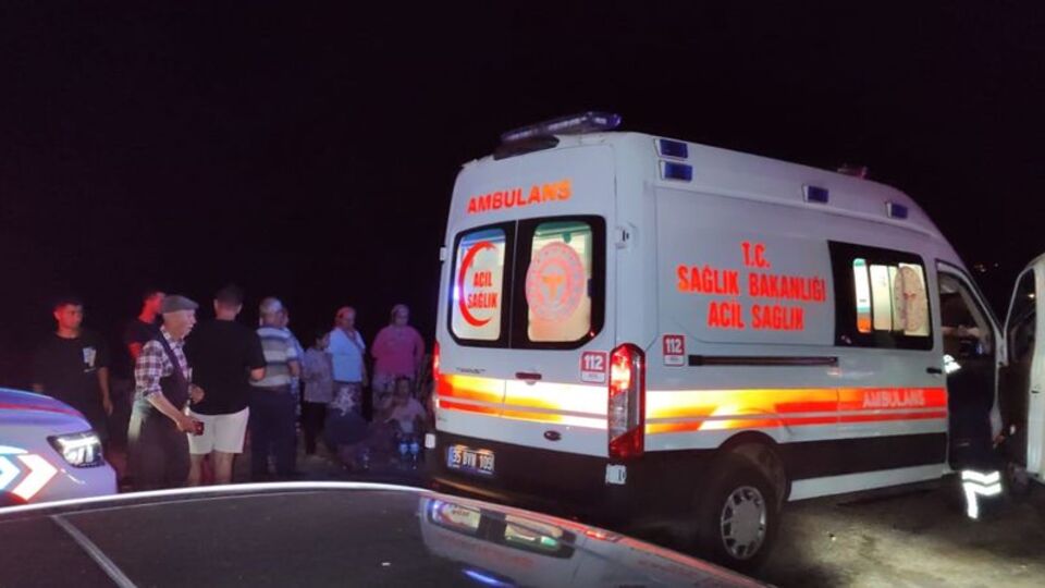 İzmir'de zeytinlik alanda yangın çıktı