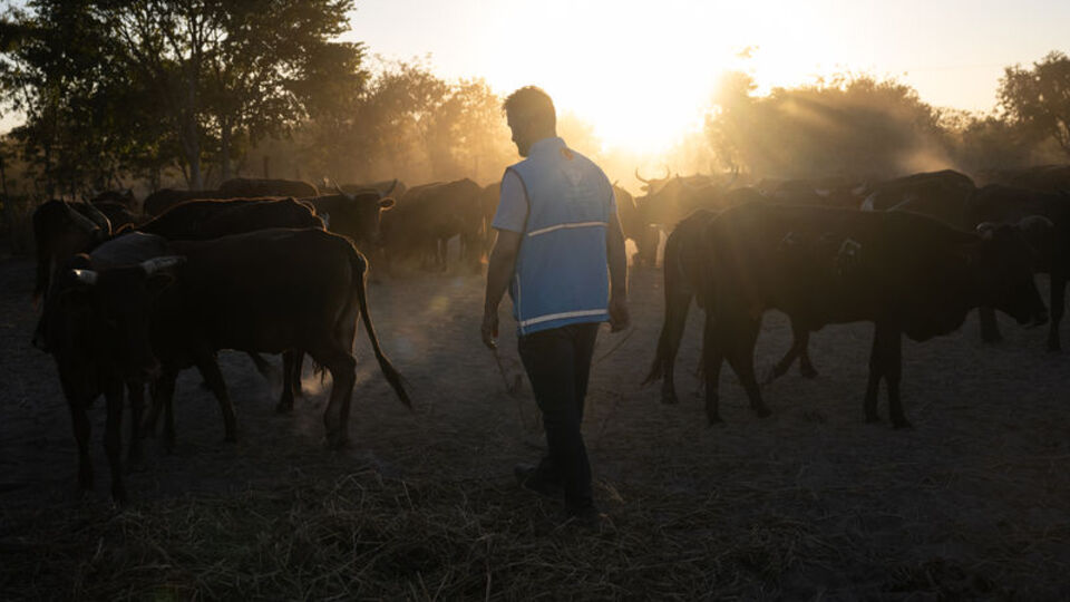 Bayramın 1'inci günü hava nasıl olacak?