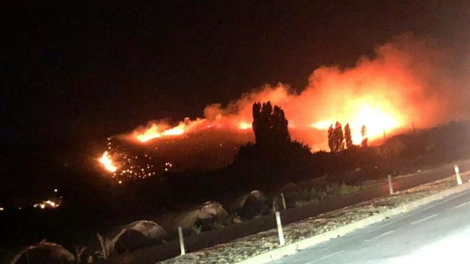 Orman yangını sonrası acı kaza!