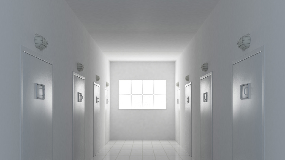 Kimse dilini bilmediği için 12 yıl psikiyatri hastanesine kapatıldı