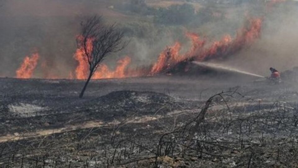 İzmir'deki Çiçek Adası'nda otluk alan yangını