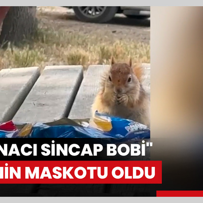 "Makarnacı sincap Bobi" piknik alanındaki işletmenin maskotu oldu