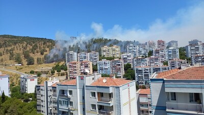 İzmir'de şehrin yakınında yangın!