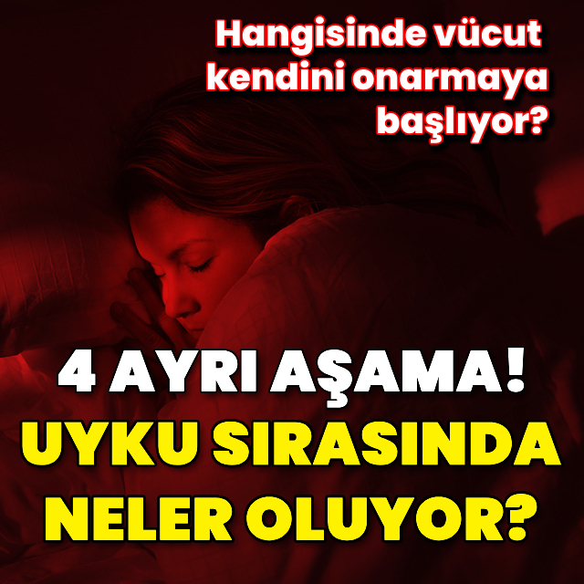 Uykunun 4 aşamasında ne yaşıyoruz?