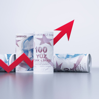 Haziran ayı enflasyon beklentisi anketi açıklandı