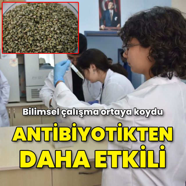 Bilimsel çalışma: Antibiyotikten daha etkiliymiş