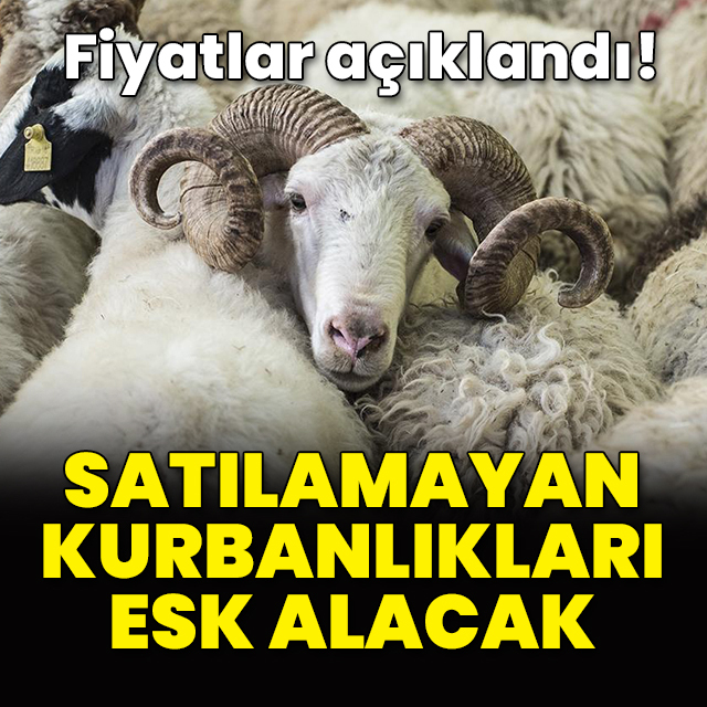 Satılamayan kurbanlıkları ESK alacak