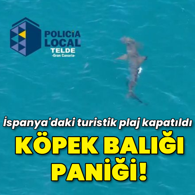 İspanya'da köpek balığı paniği!