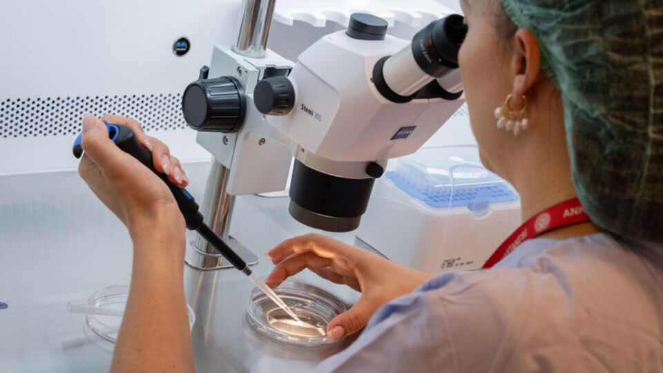 Devlet destekli tüp bebek tedavisi bir ayda 2 bin kişiye umut oldu