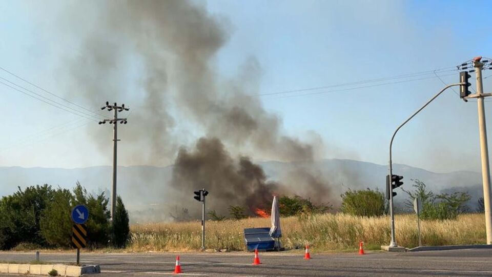 İzmir'de zeytinlik yangını