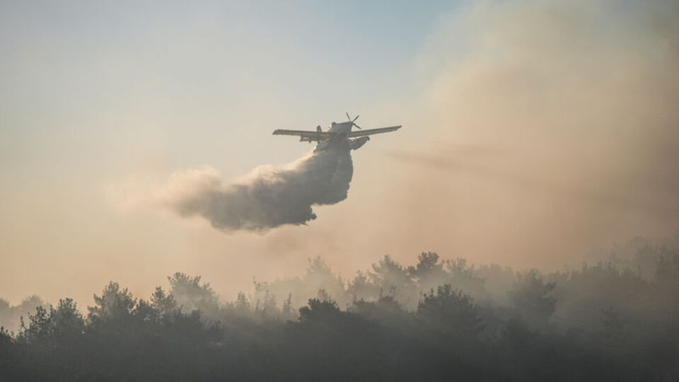 Çanakkale'de orman yangını