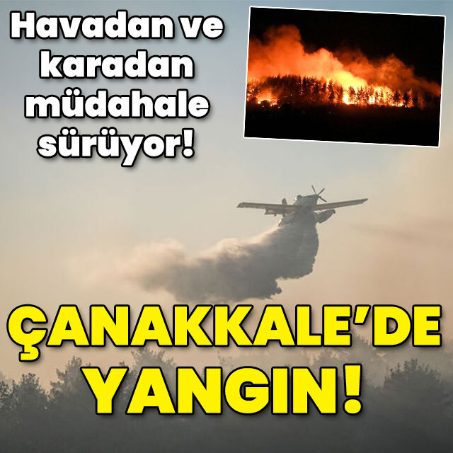 Çanakkale'de orman yangını