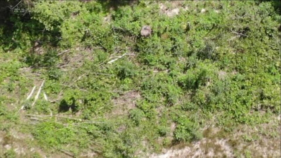 Samsun'da uyuşturucu operasyonları