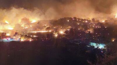 İzmir'de ormanlık alanda yangın