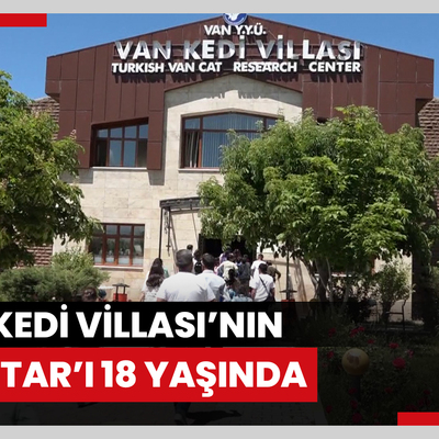 Van Kedi Villası’nın 'Muhtar’ı 18 yaşında