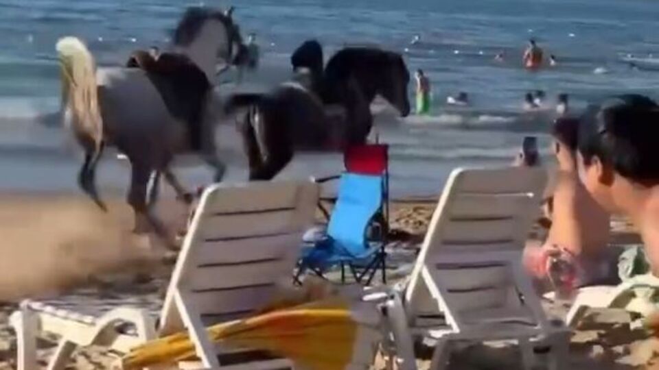 İstanbul'da yaşandı! Plajda at dehşeti!