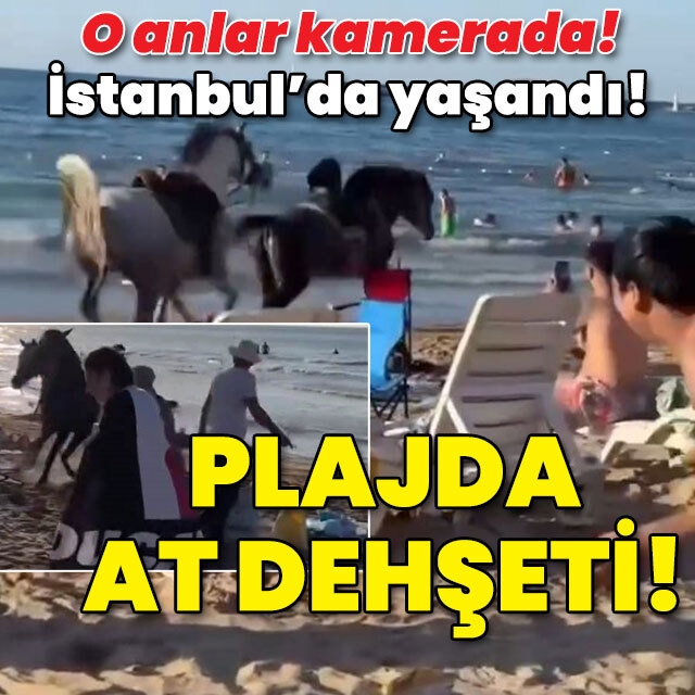 İstanbul'da yaşandı! Plajda at dehşeti!