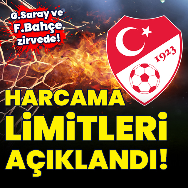 Harcama limitleri açıklandı!