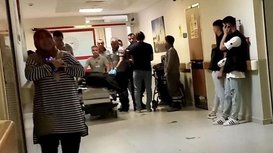 Bursa'da acı olay! Ihlamur toplarken canından oldu!