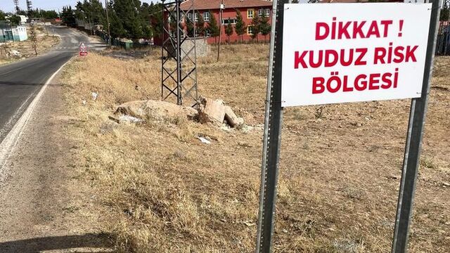 Bir mahallede kuduz karantinası