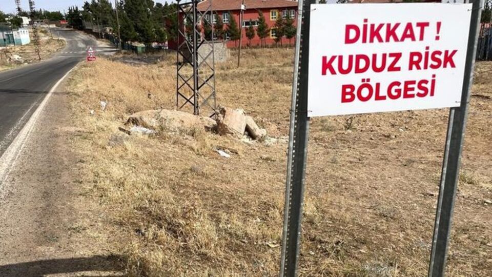 Bir mahallede kuduz karantinası