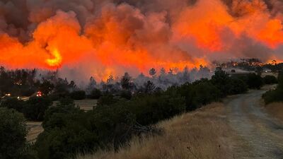 Uşak'taki orman yangınıyla ilgili flaş gelişme!
