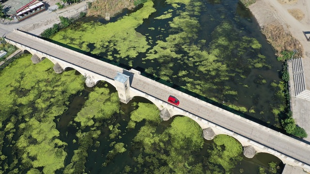 Tunca Nehri yosun tuttu