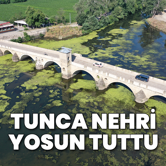 Tunca Nehri yosun tuttu